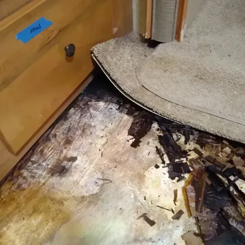 Wood Floor Water Damage in Stromsburg, NE